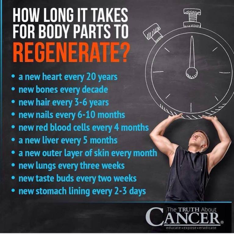 33758496_1275677705902561_4365722857817243648_n