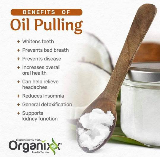 34585802_1901553479896373_5929404383094636544_n